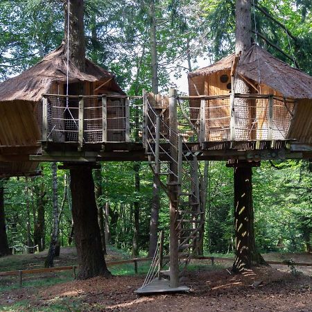 Les Cabanes De Labrousse Saint-Julien-Labrousse エクステリア 写真